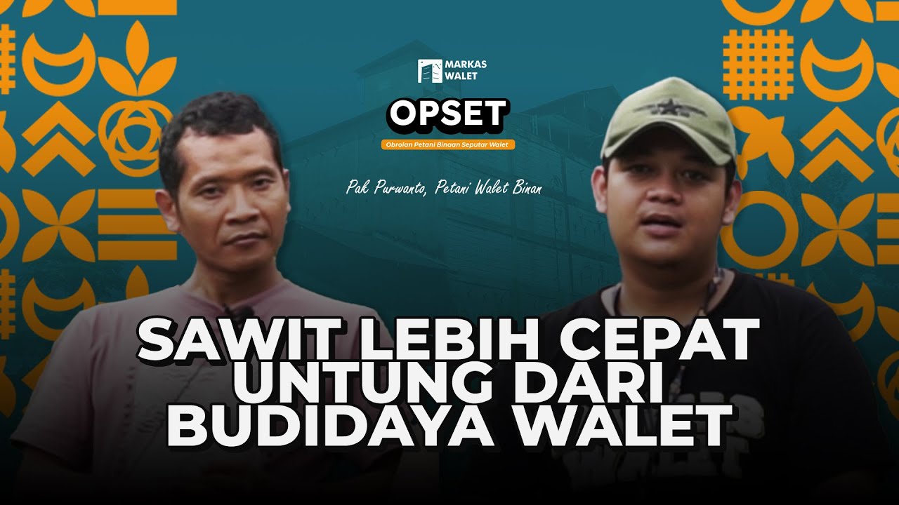BUDIDAYA WALET ITU LAMBAT! MENDING TANAM SAWIT | OBROLAN SEPUTAR PETANI WALET