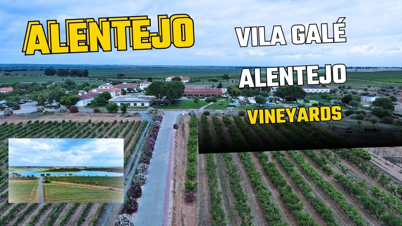 #35- HOTEL VILA GALÉ - VINEYARDS, no coração do ALENTEJO.