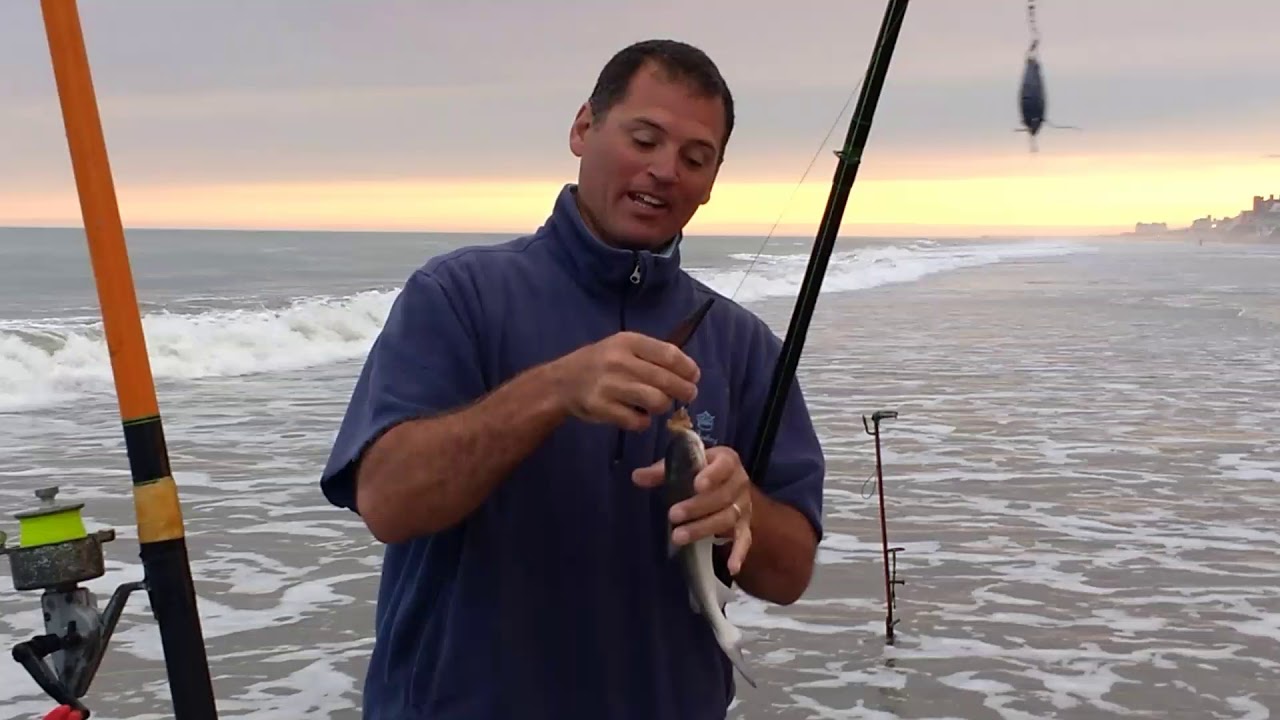 Pescando corvinas rubias de costa en la Lucila del Mar