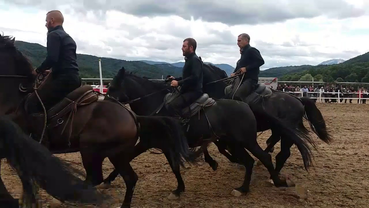 A CAVALLO IL BRANCO NERO🐎