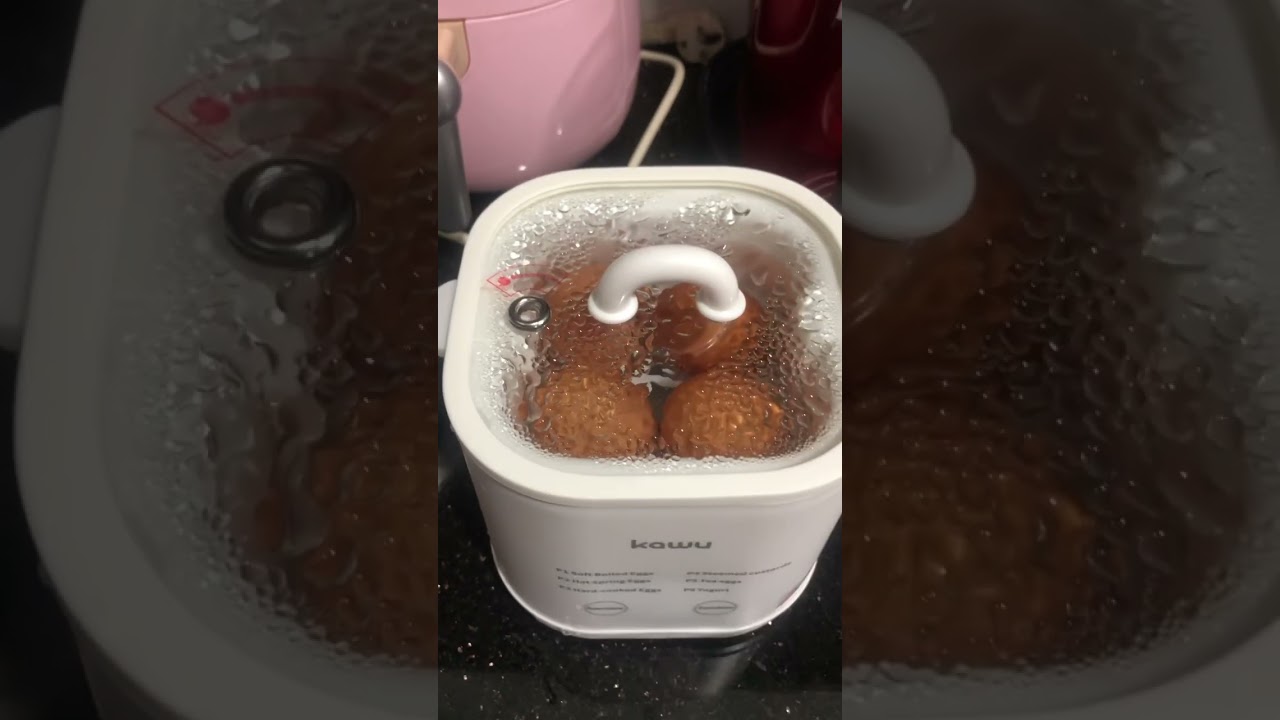 New Egg cooking machine!! 
