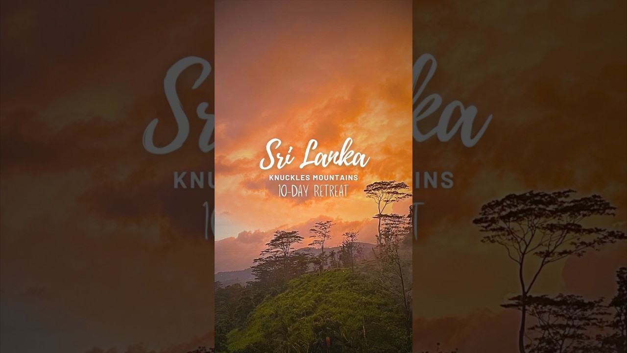 Sri Lanka Retreat | Bhante Ānanda | Loving Kindness & Somatic Release #shorts #meditation #srilanka