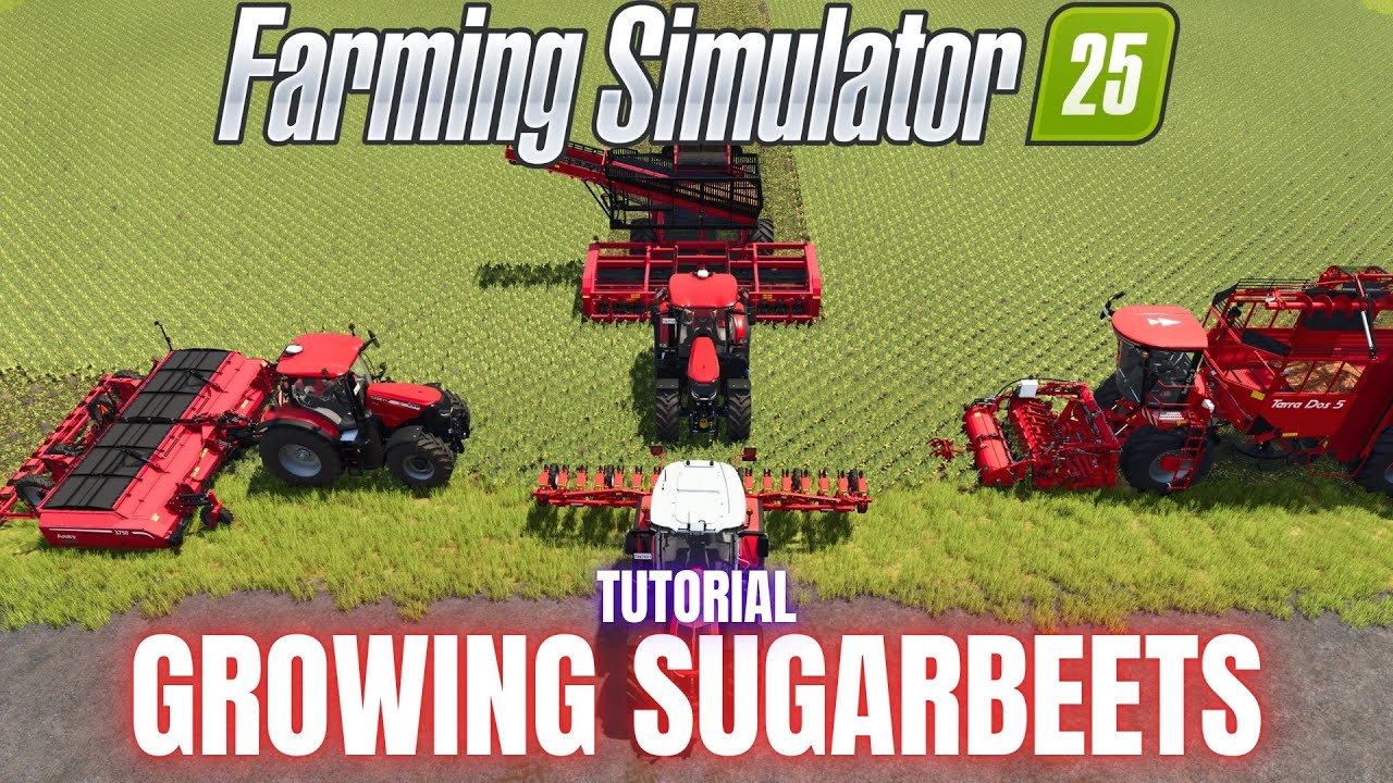 ВЫРАЩИВАНИЕ САХАРНОЙ СВЕКЛЫ — РУКОВОДСТВО — Farming Simulator 25