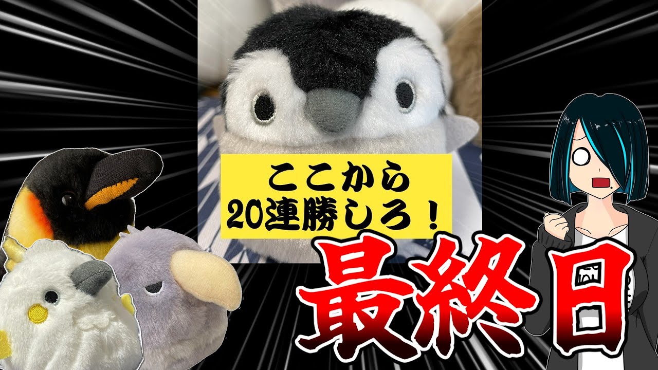 【マスター２～】イカれた環境も楽しみ尽くす！ふわんだりぃずランクマッチラストラン増刊号【遊戯王マスターデュエル】