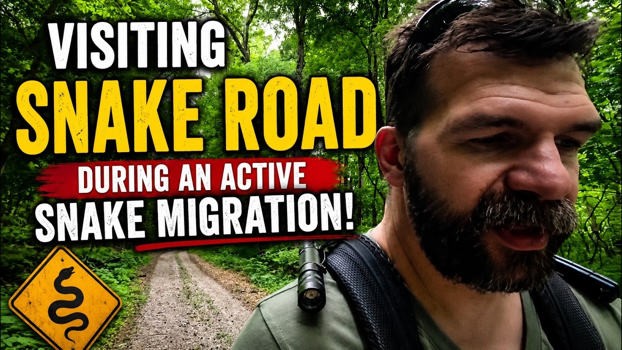 Hiking LaRue Pine Hill Snake Road | Snake Migration | Shawnee National Forest