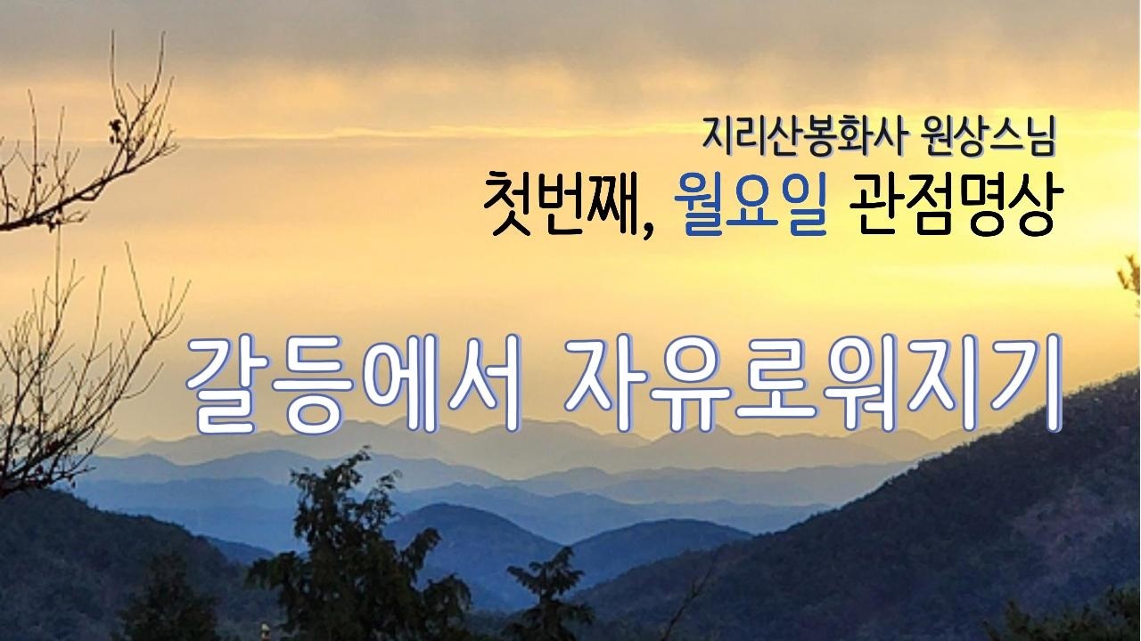 첫번째 , 월요일 관점명상