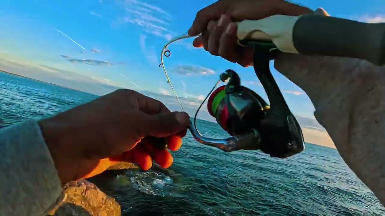 BUSCANDO pesca por varios puntos ENCONTRAMOS un ESCONDITE de PARGOSS 