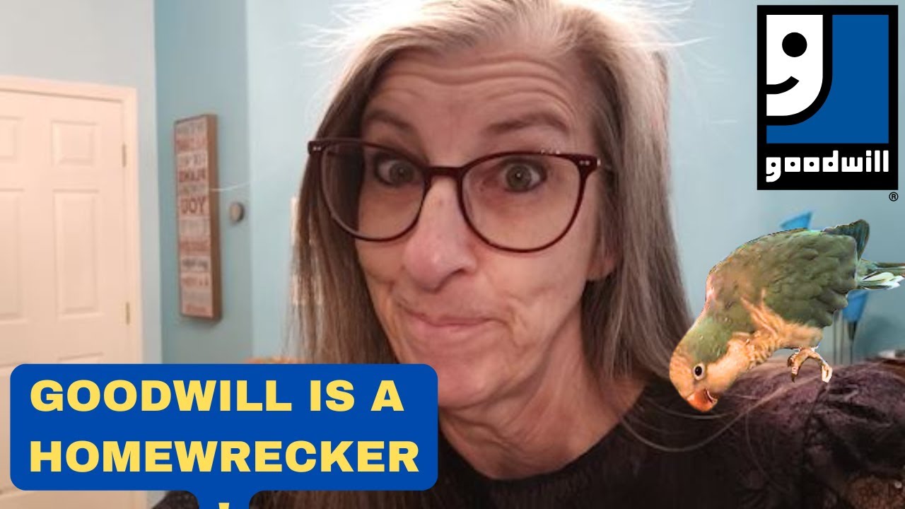 GOODWILL IS A HOMEWRECKER - Thrift With Me