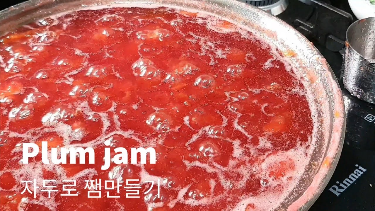 제철과일로 집에서 만드는 고급 자두잼  how  to  make  plumjam