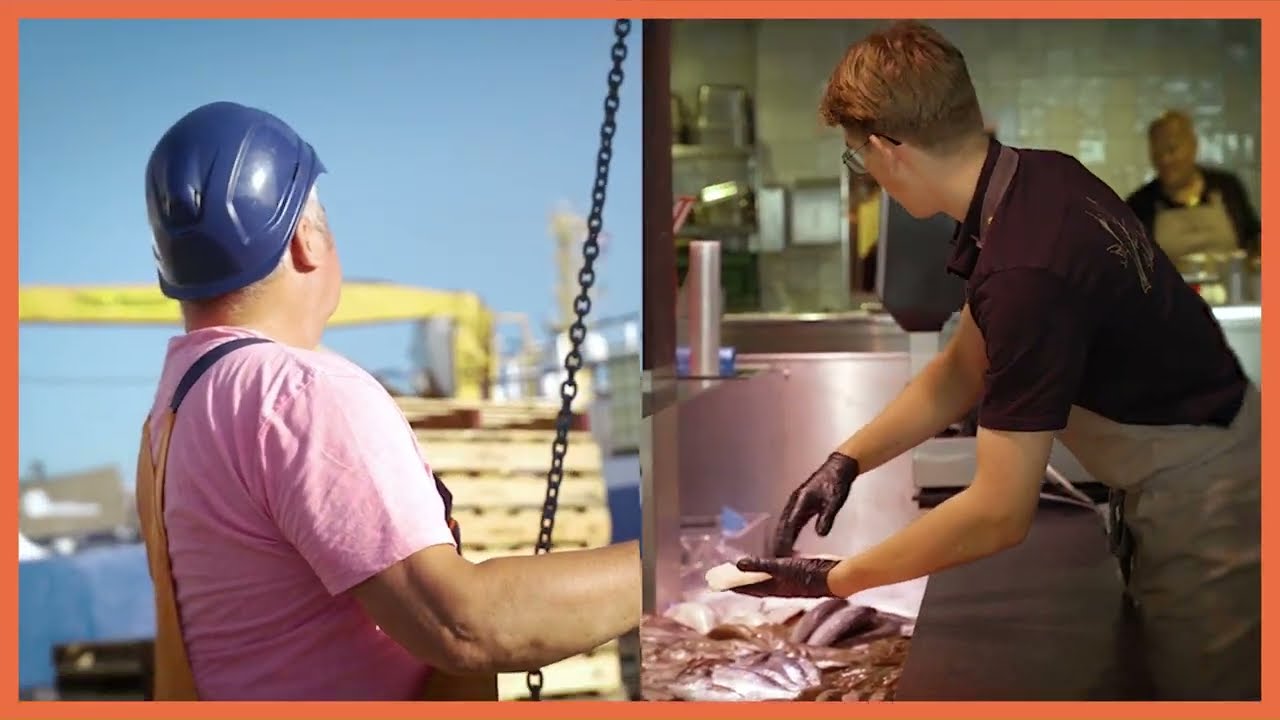 Discover the Dutch Seafood Industry