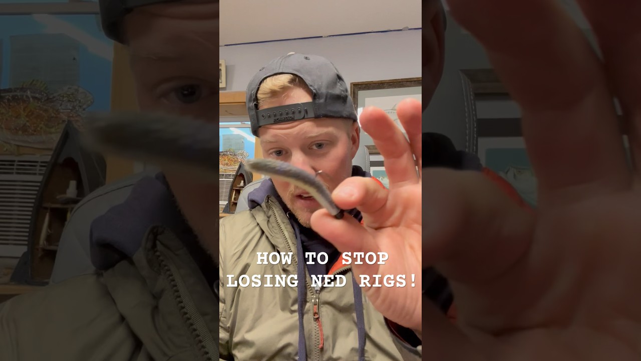 How To STOP Losing Ned Rigs This Winter!