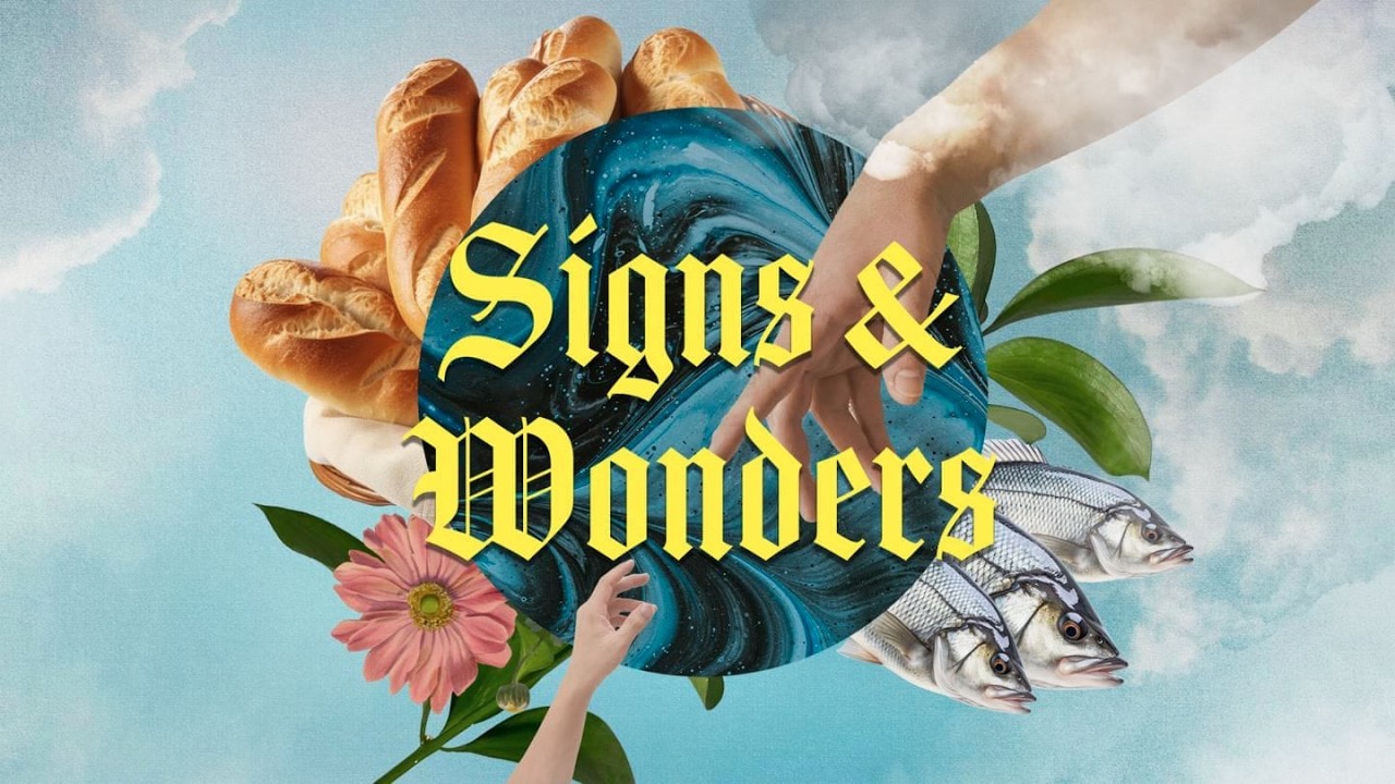 Signs & Wonders: When I Move You Move
