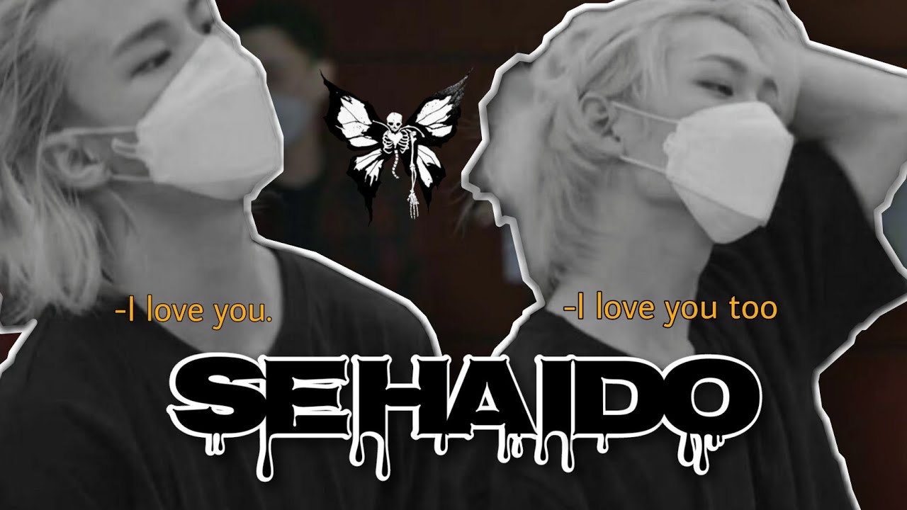 IMAGINAS CON HYUNLIX| T2 | capitulo 1| 
