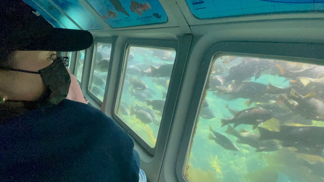 Catalina island semi-submarine tour