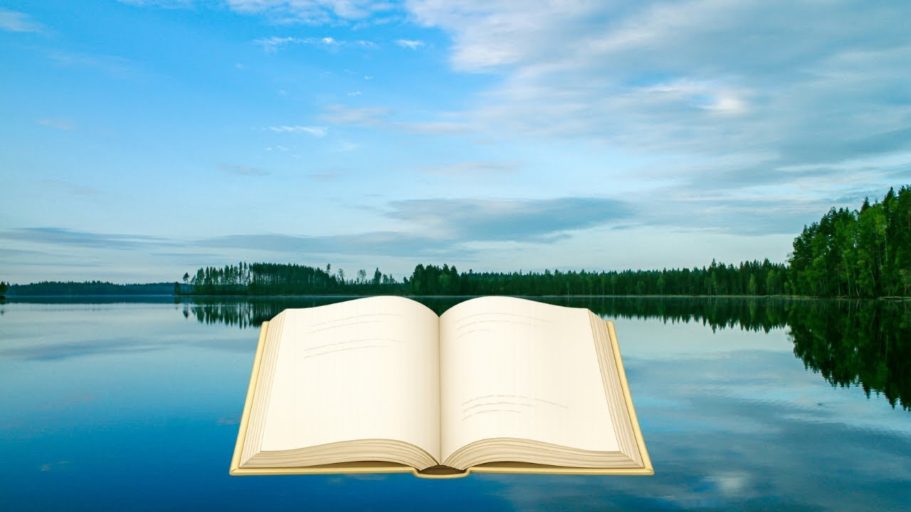 An Hour Spent with Silence | Gentle Sounds for Reading & Focus
