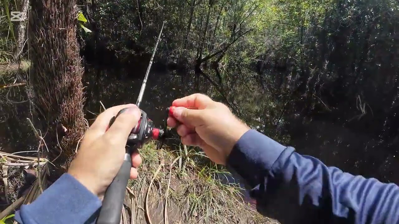 North Queensland Barramundi #barramundifishing #fishing #outdoors 