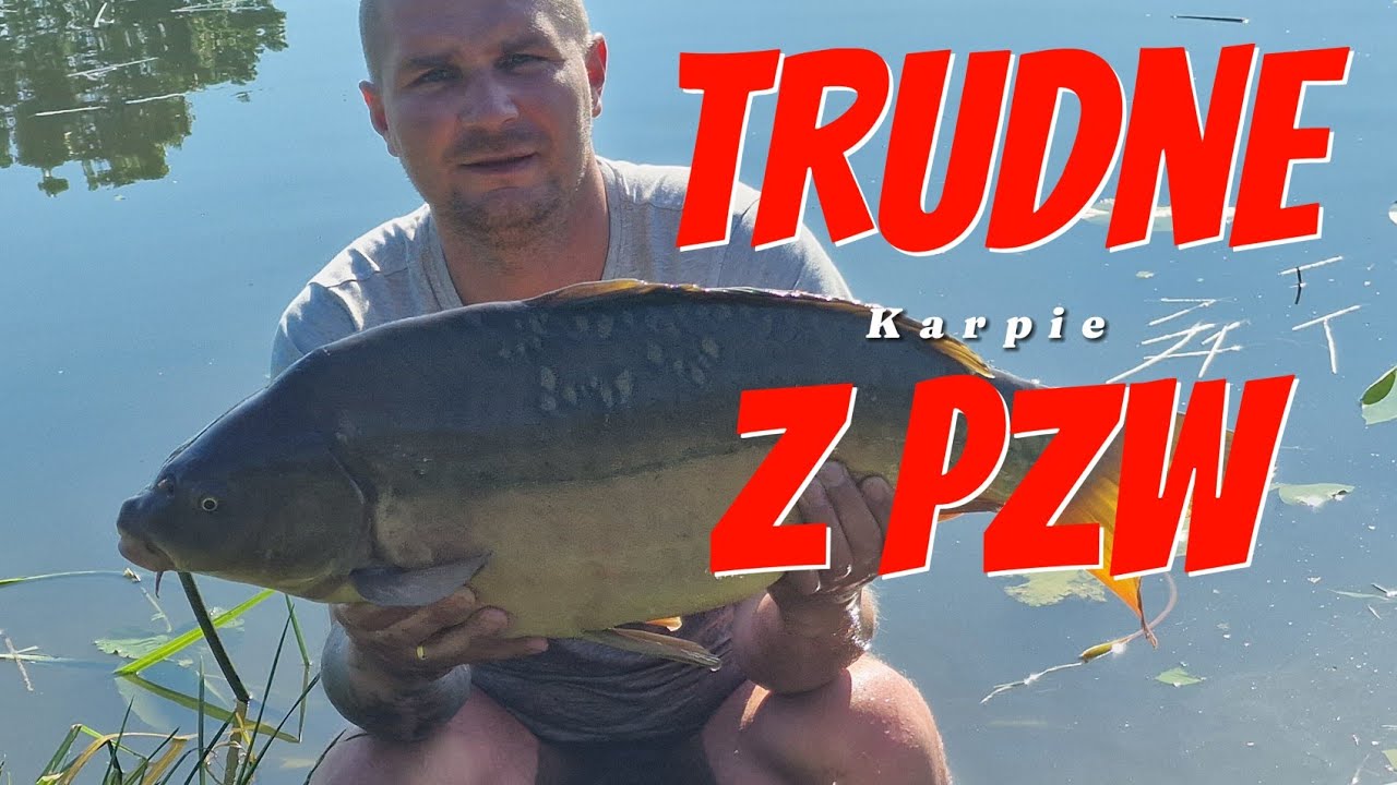 Jak dobrać się do karpia z PZW