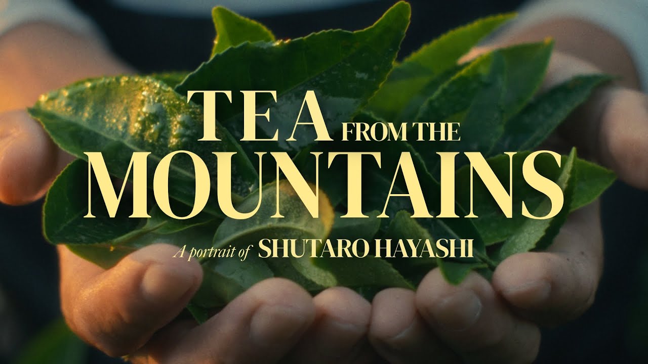 TEA FROM THE MOUNTAINS: A Portrait of Organic Tea Farmer Shutaro Hayashi in Kirishima, Japan