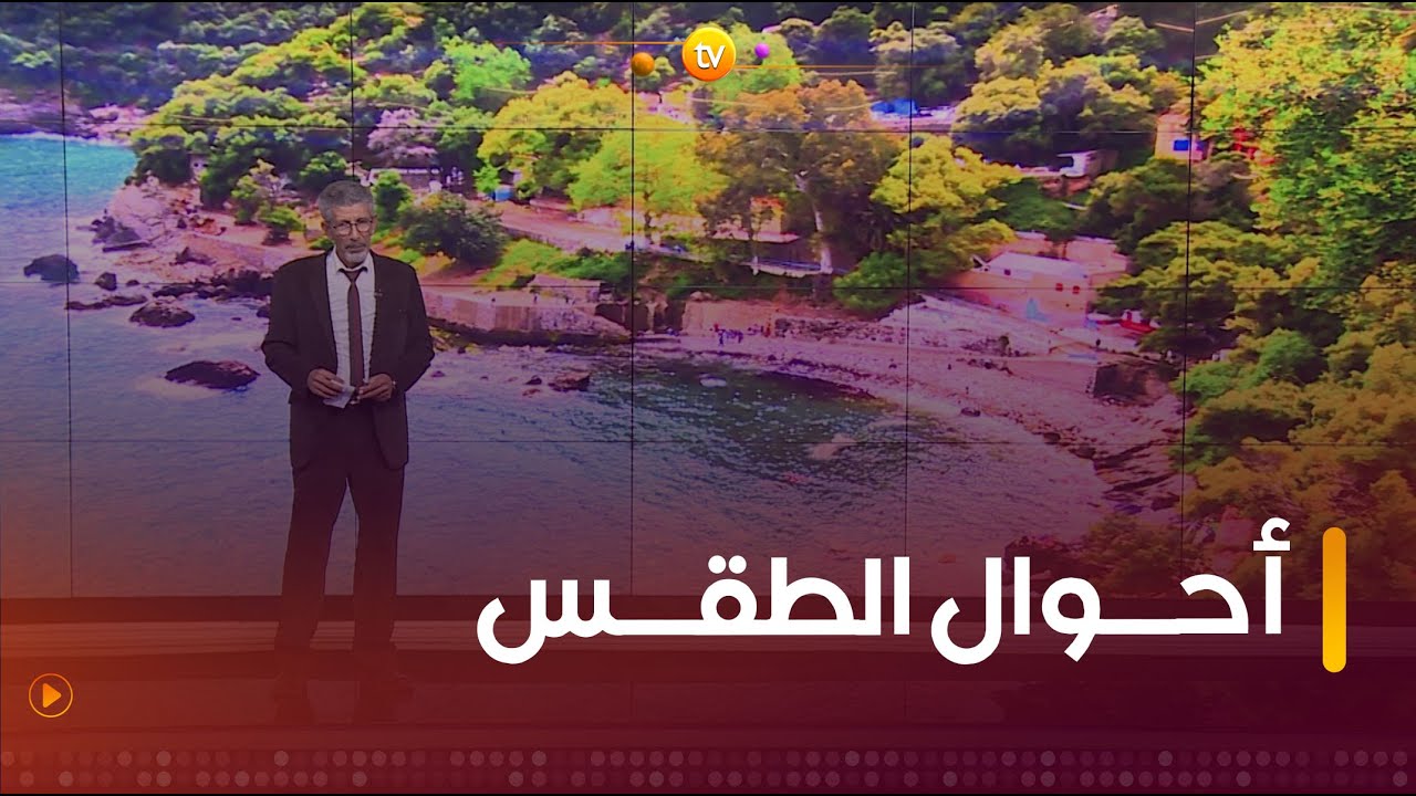 نشرة أحوال الطقس ليوم الأحد 11 فيفري 2024 🌨⛈🌦