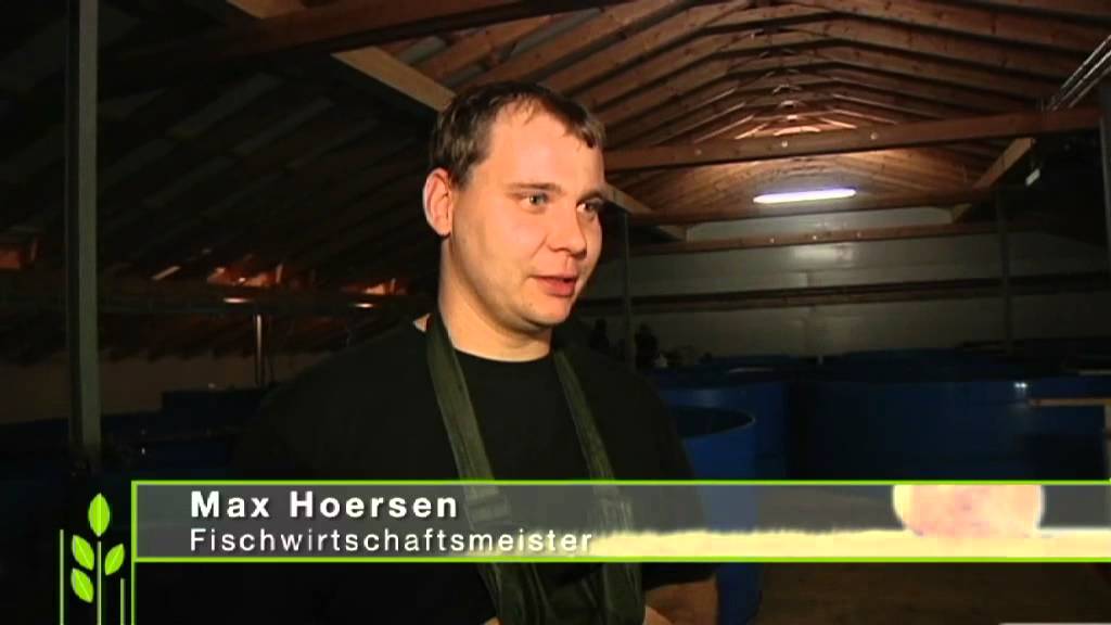 Rent a Fishman, Max Hoersen - Fischzucht in Kreislaufanlagen, Zanderprod., Fernsehbeitrag 28.01.2015