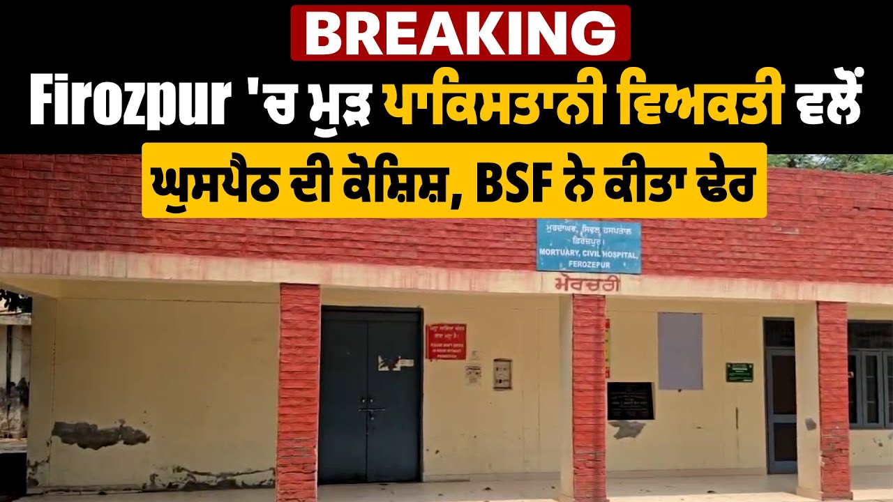 Breaking: Firozpur 'ਚ ਮੁੜ ਪਾਕਿਸਤਾਨੀ ਵਿਅਕਤੀ ਵਲੋਂ ਘੁਸਪੈਠ ਦੀ ਕੋਸ਼ਿਸ਼, BSF ਨੇ ਕੀਤਾ ਢੇਰ