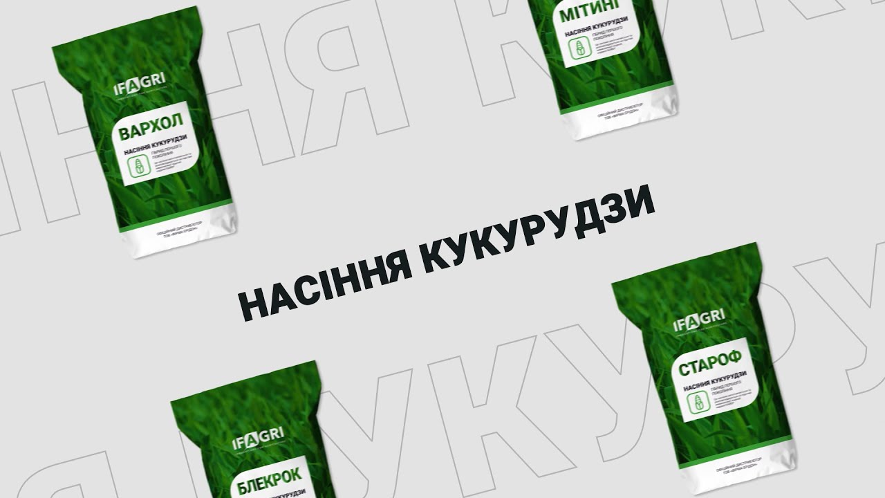 Сканер ФАО 250. Насіння кукурудзи від IFAGRI
