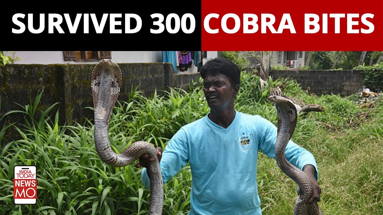 Meet Vava Suresh, India's Snake Master | NewsMo | India Today
