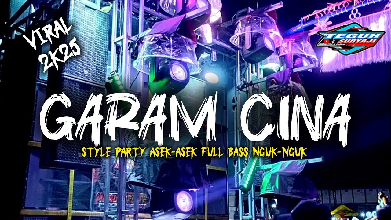 DJ GARAM CINA STYLE PARTY ASEK ASEK FULL BASS NGUK-NGUK KARNAVAL 2025