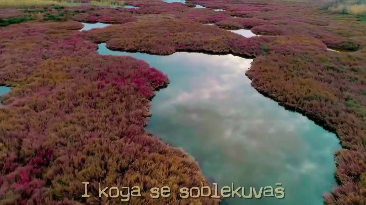 Новогодишно онлајн дружење на 