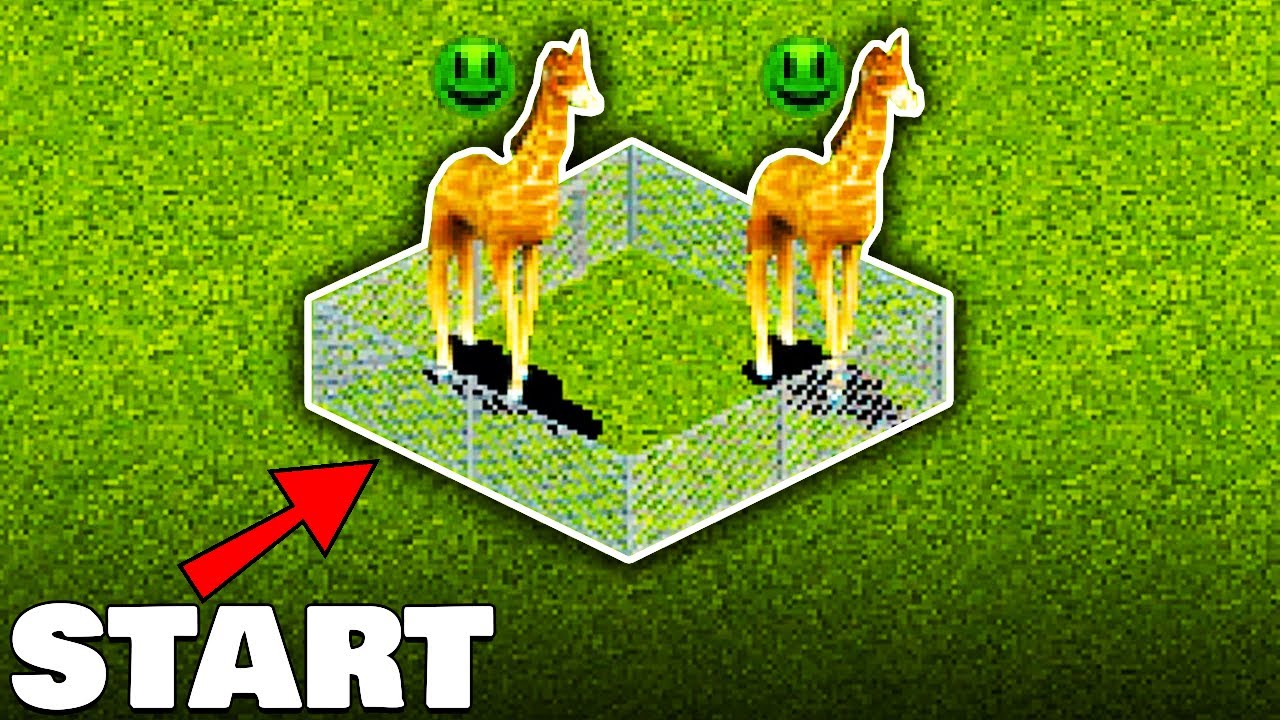 Zoo Tycoon, старт с 2 животными...