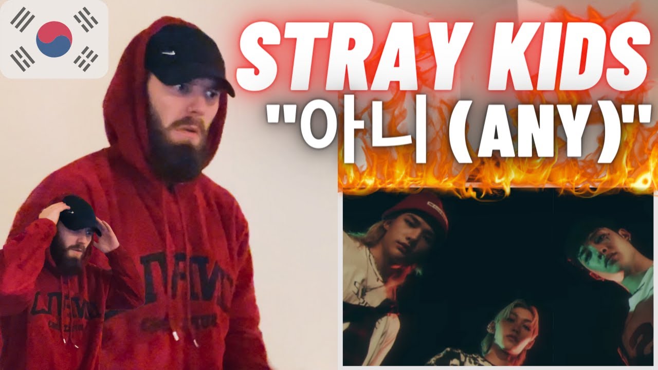 TeddyGrey Reacts To | Stray Kids 