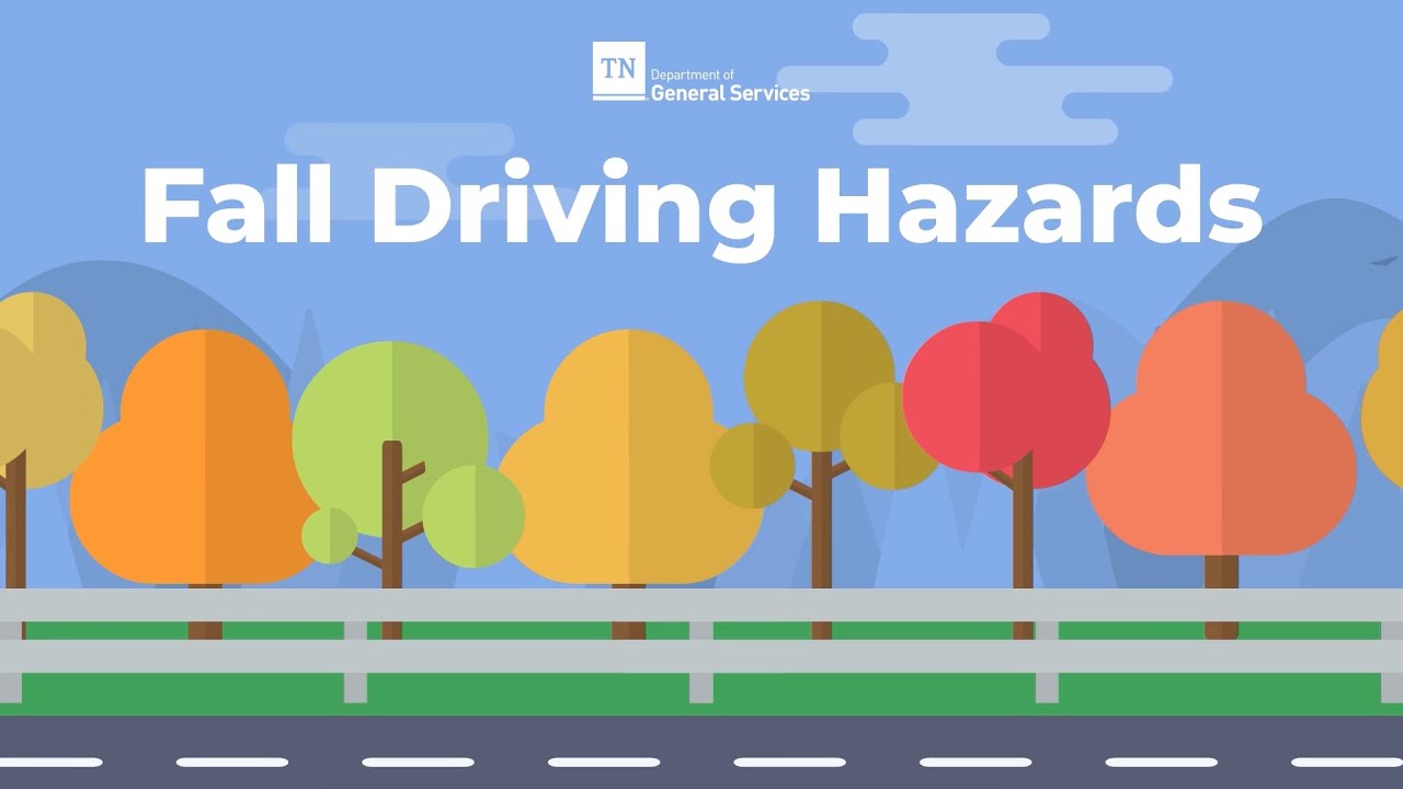 VAM: Fall Driving Hazards