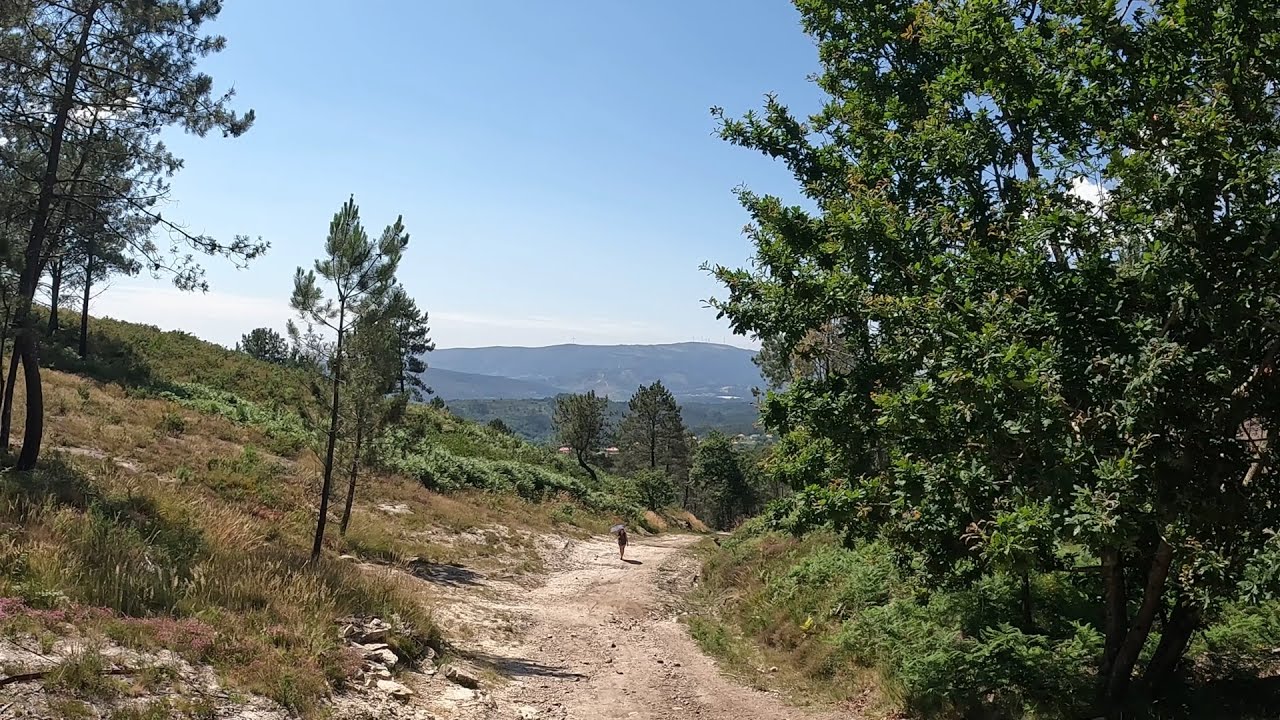 The Portuguese Camino day 8 , Fortoura to Labruja