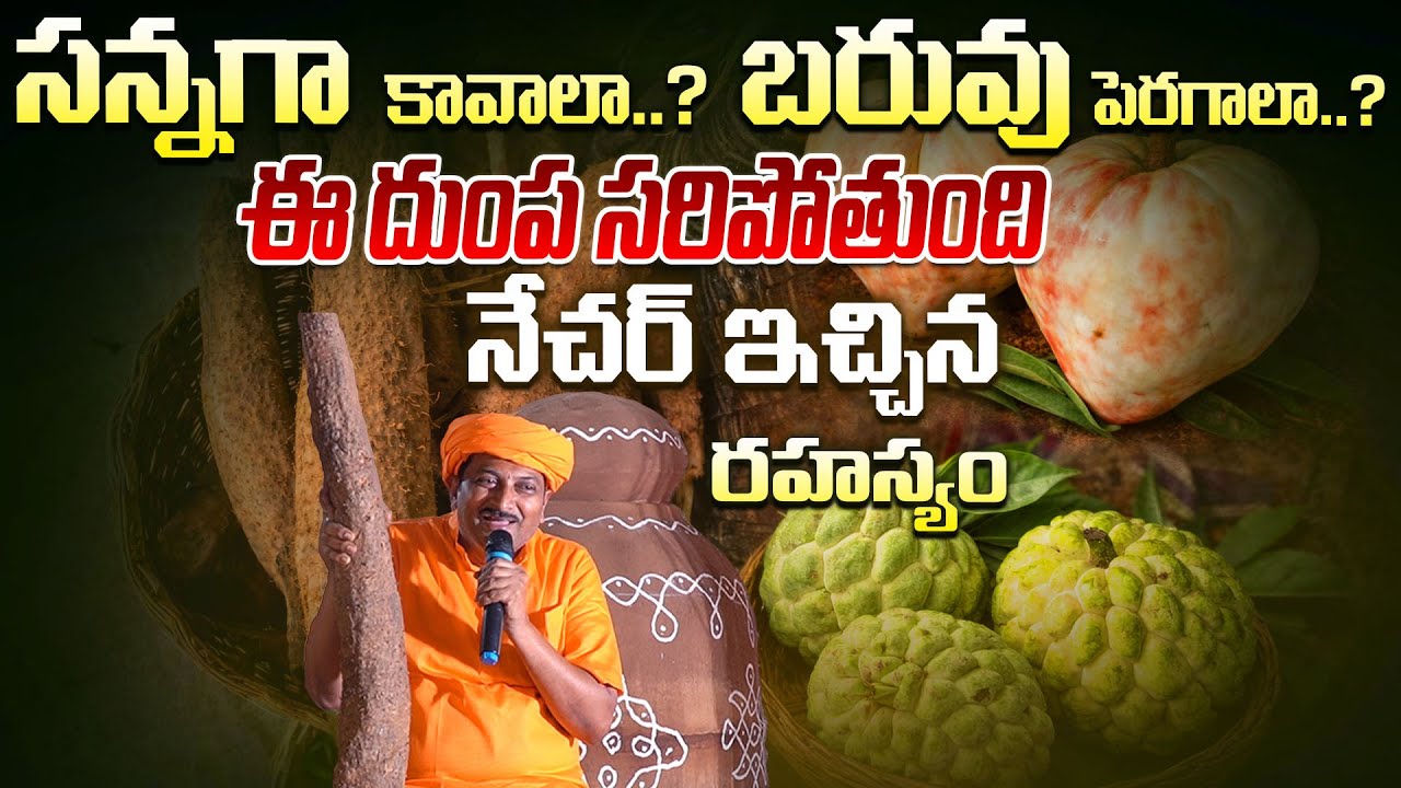 సన్నగా కావాలా..? బరువు పెరగాలా..? ఈ దుంప సరిపోతుంది !!నేచర్ ఇచ్చిన రహస్యం | Ravivarma | AYUR MANTRA