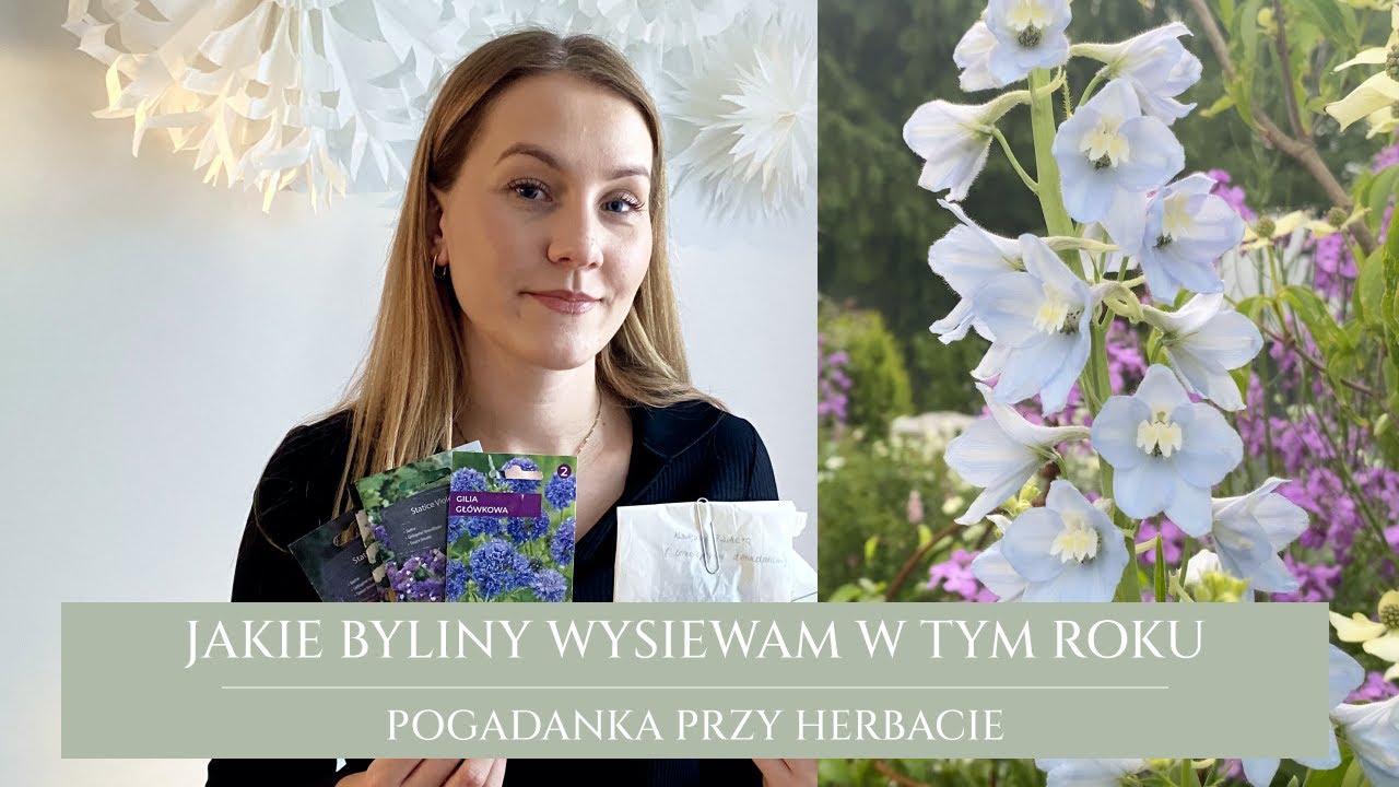 Wysiewy bylin 2025 | na jakie rośliny stawiam w tym roku | gdzie kupuję nasiona ciekawych roślin