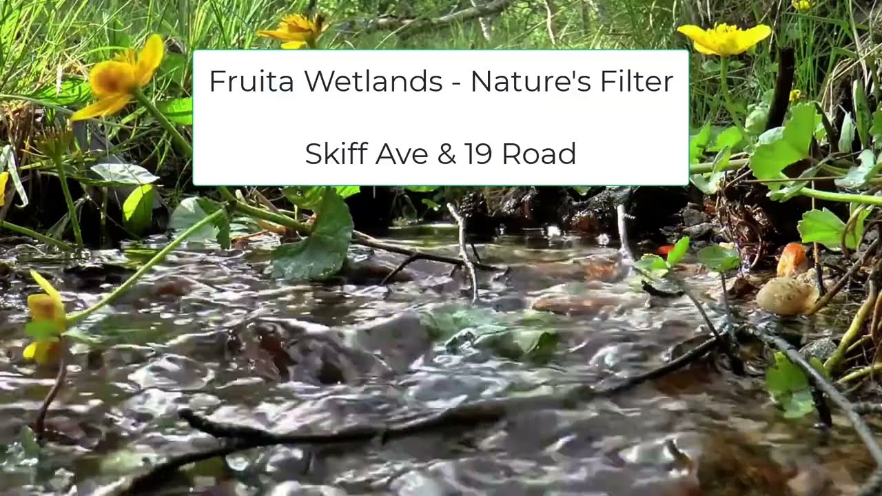 Fruita Wetland - Skiff Ave & 19Road