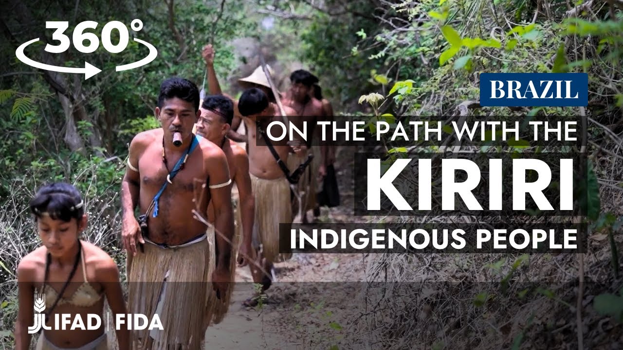 Brazil in 360: the root reviving the Kiriri People's livelihood