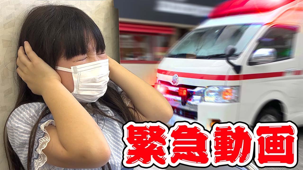 【緊急動画】愛犬のレオくんが大ケガして動物病院に搬送しました！ - はねまりチャンネル