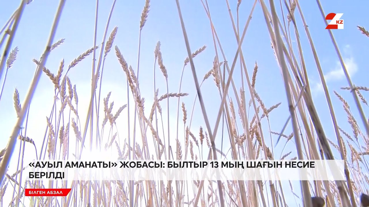 «Ауыл аманаты» жобасы: былтыр 13 мың шағын несие берілді | Білген абзал