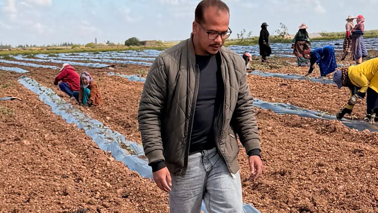 عملية  غرس البطيخ 🍉🍈 شاهد المعاملات المهمة قبل الغرس 