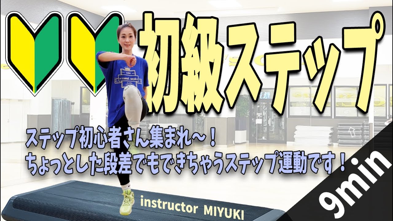 《初級ステップ》9分　初心者さん集まれ〜ちょっとした段差でできちゃう踏み台運動！最強の有酸素運動！！MIYUKI「Aero Junky 」#80