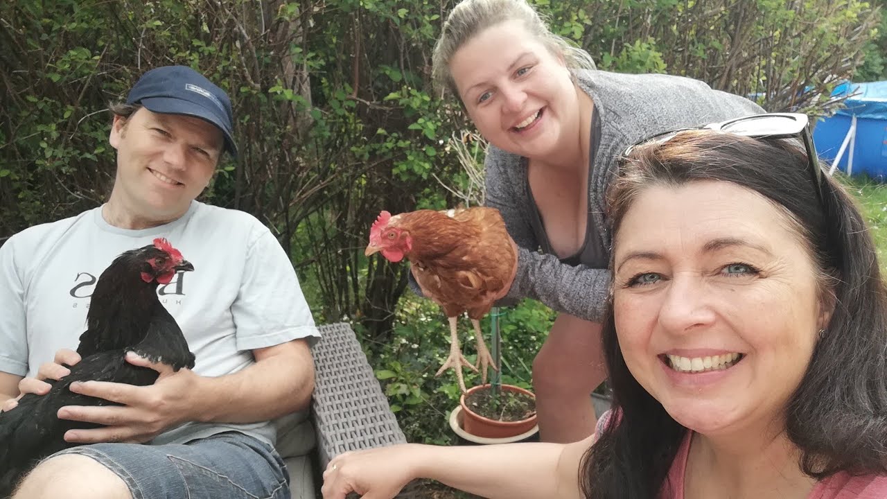 Mors dag 🌸 Vi hygger & kæler vores høns 🐔🐔🥰🤗