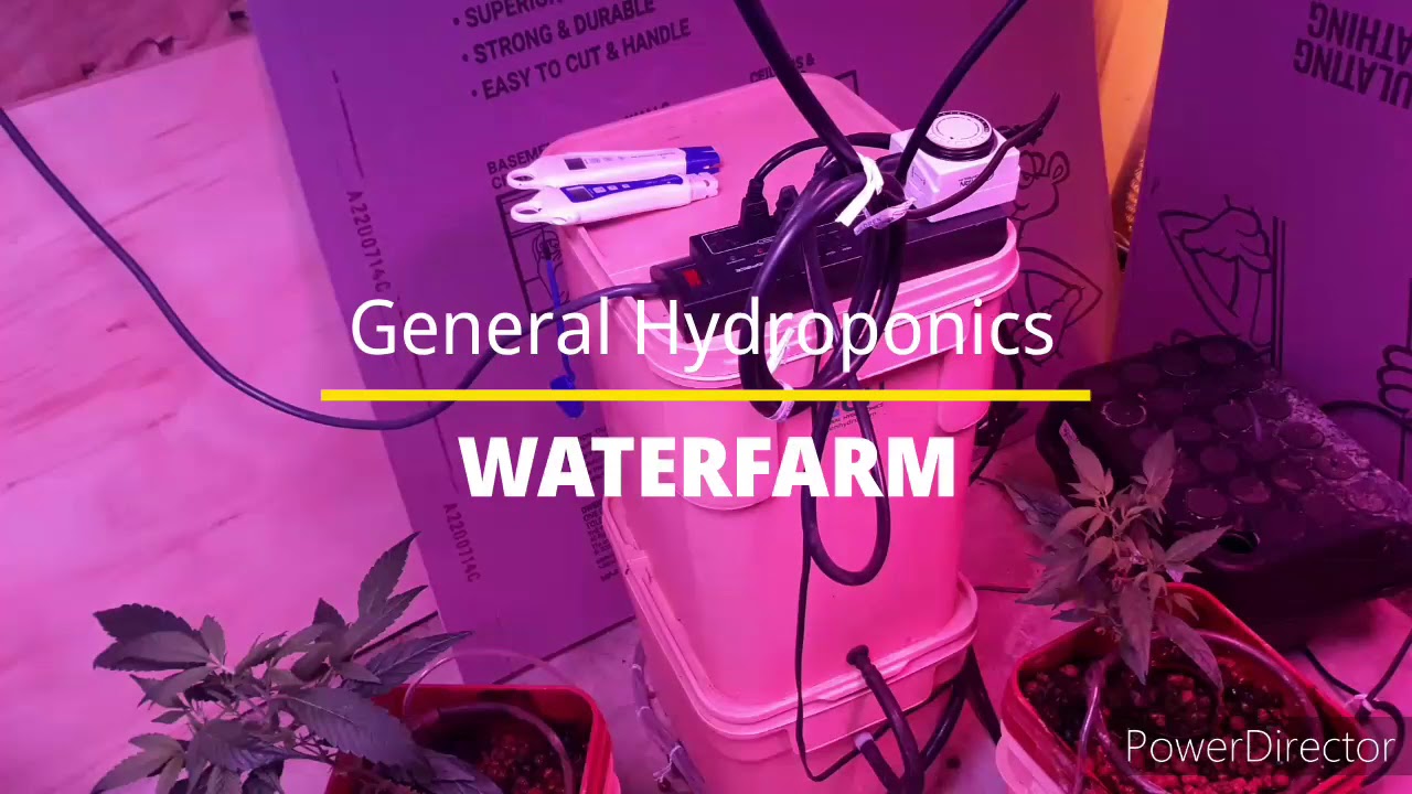 General Hydroponics Waterfarm [How it functions]