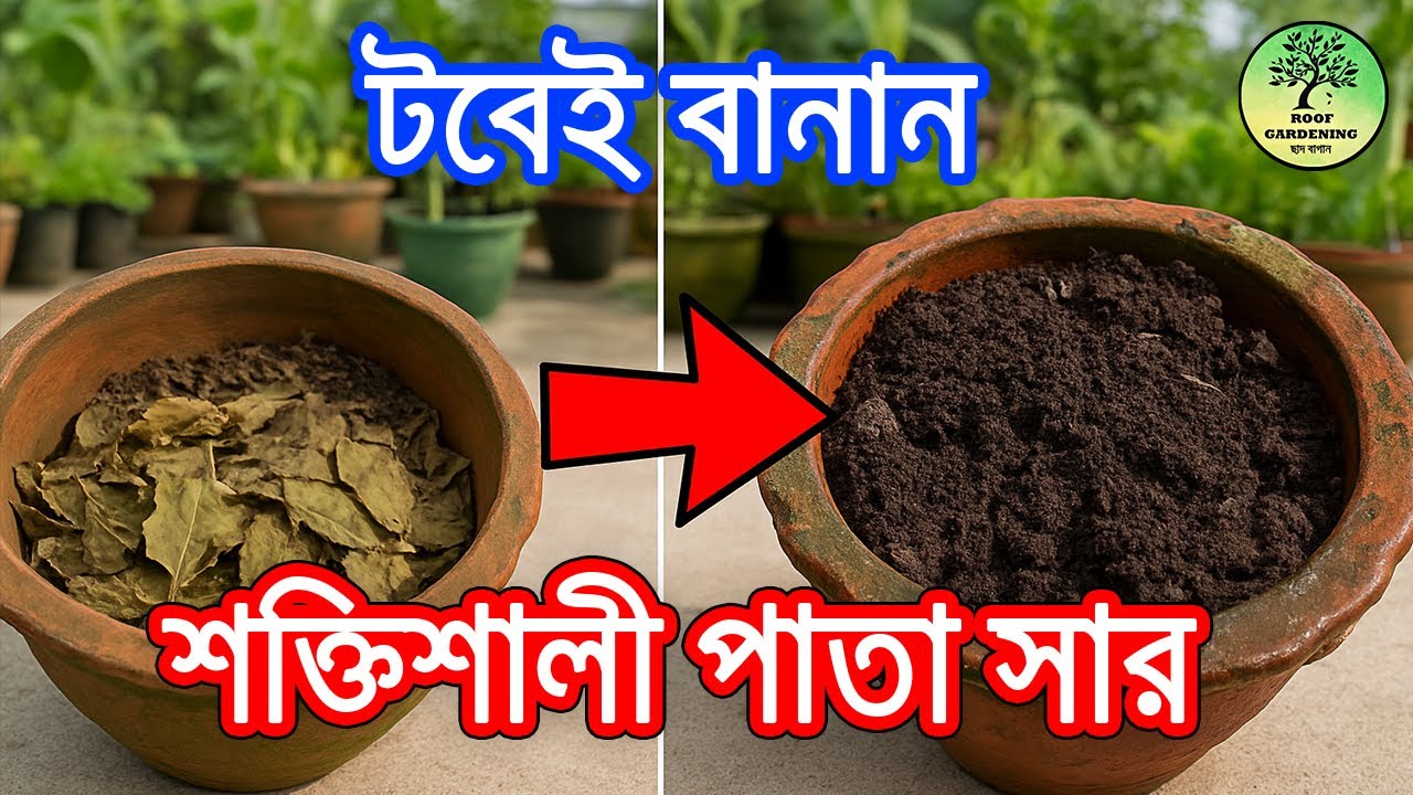 শুকনো পাতা থেকে জৈব সার! | বাড়িতেই সহজ কম্পোস্ট তৈরি | No Kitchen Waste Needed!