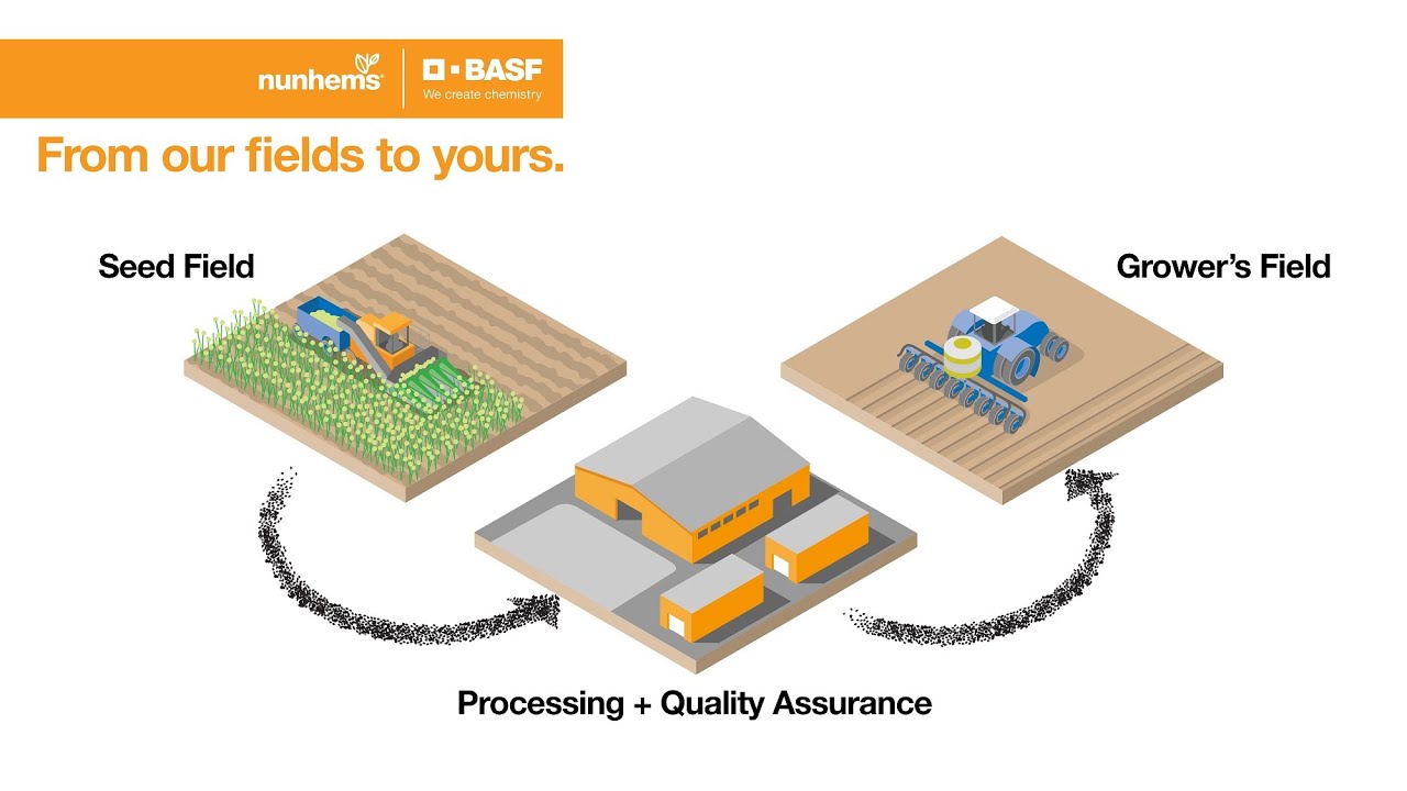 BASF Parma Factory Tour