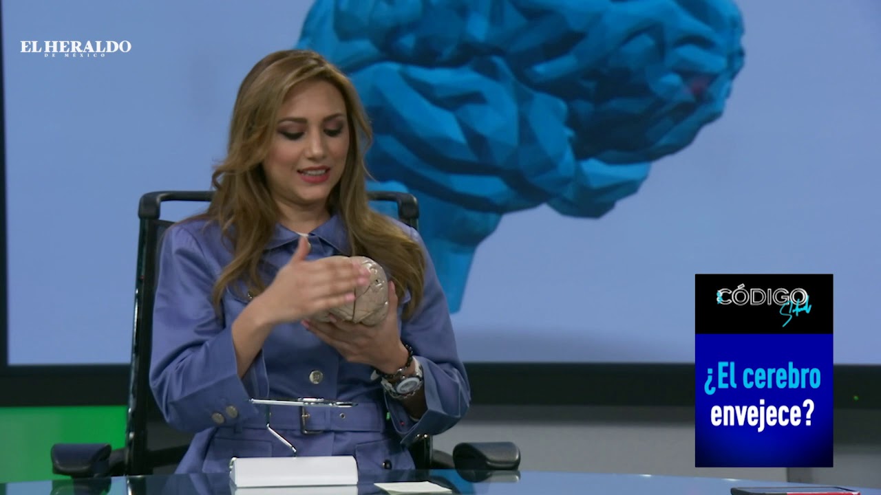 ¿El cerebro envejece?