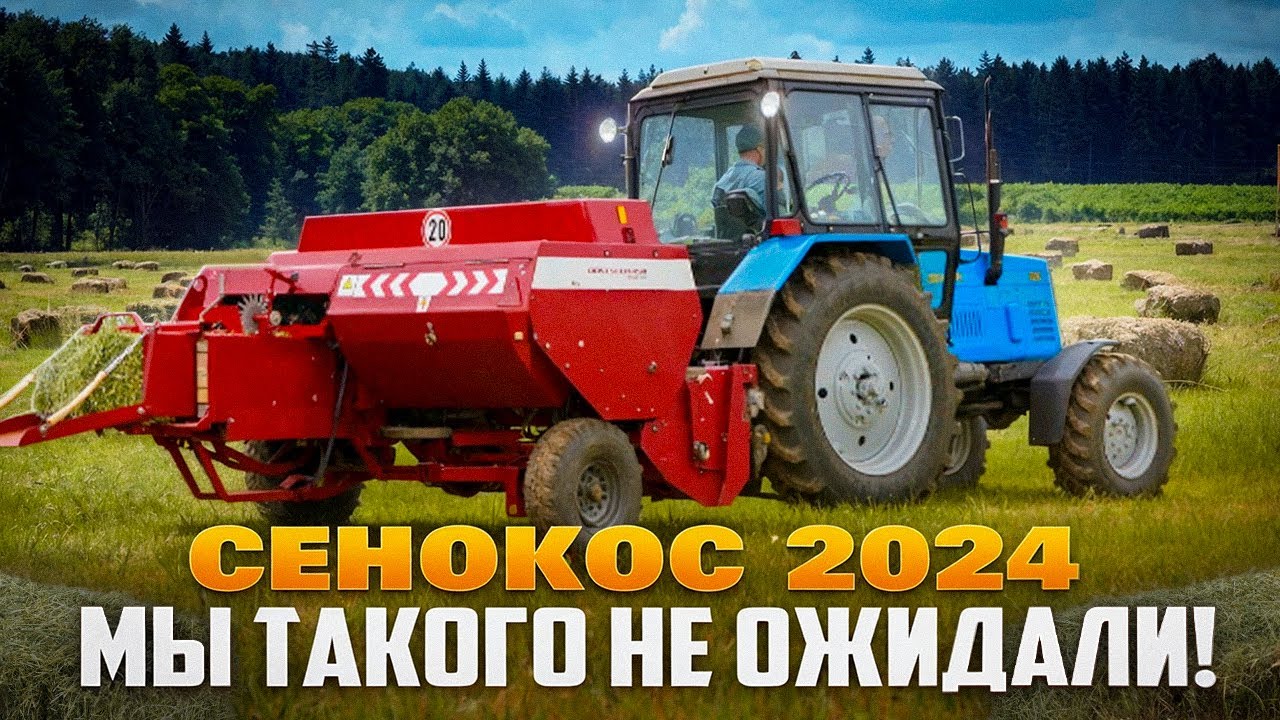 🔴 СЕНОКОС 2024 | МАЙСКИЕ МОРОЗЫ ДАЛИ О СЕБЕ ЗНАТЬ?