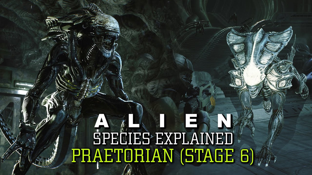 The Praetorian Xenomorph (Praetorian and Crusher/Charger) Stage 6 XX121 - Alien Species Explained