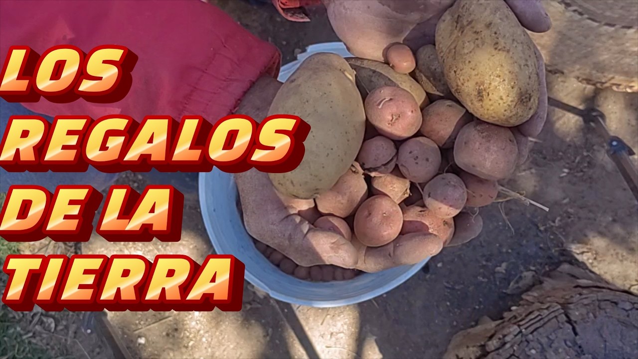 LA TIERRA SE TRABAJA, después de la cosecha es cuando más necesita de ti y POR ELLO TE DA ESTO..
