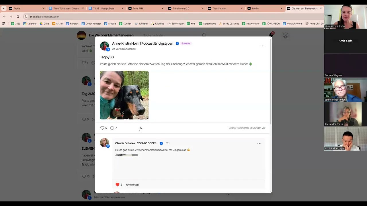 TRIBE Erfahrungsbericht nach 4 Wochen
